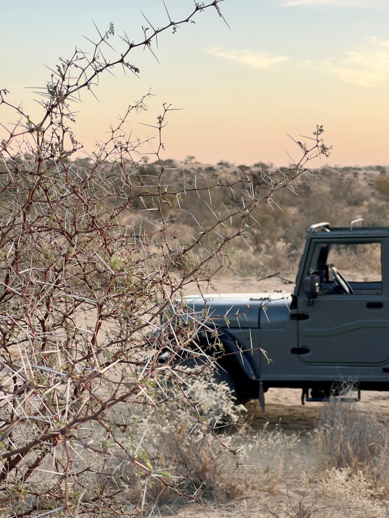 A thrilling jeep ride in the desert wilderness