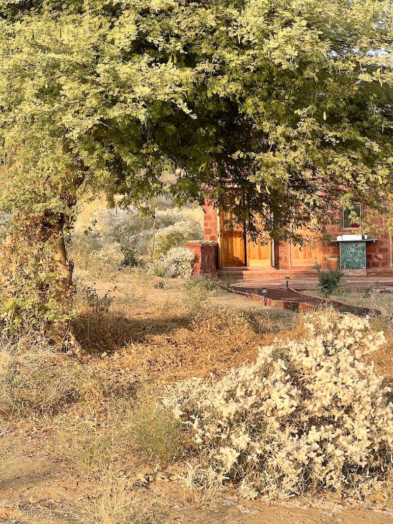 The thought behind India's first desert botanical resort